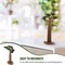 2pcs Model Tree Mini Baobab Tree Train Scenery Architecture Trees Fake Trees Miniature Artificial Tree Fake Plants